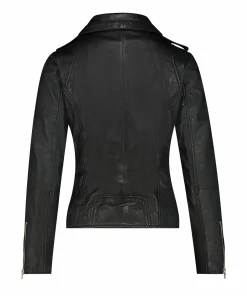 IBANA Bear Blaze Blackgold- Never Out Of Stock
