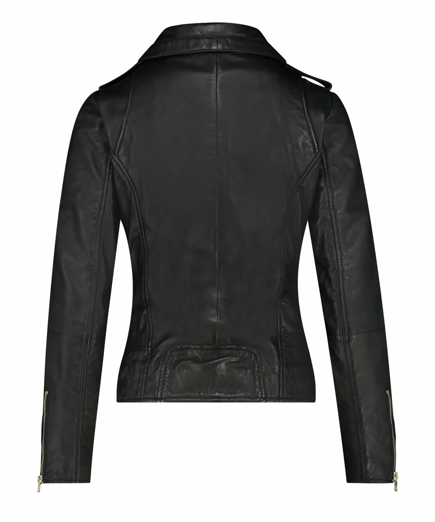 IBANA Bear Blaze Blackgold- Never Out Of Stock